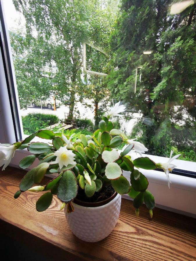 Apartament Przy Arsenale Вроцлав Екстериор снимка